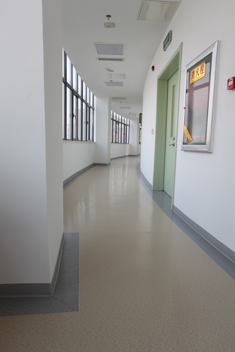 鳳凰島中學杰尼瑞